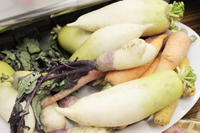0211_Alfalfa_2_1.jpg